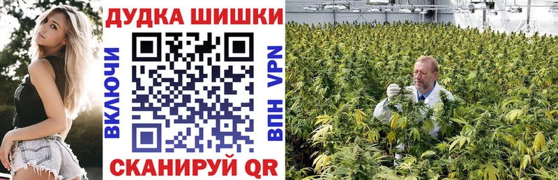 где можно купить наркотик  Лянтор  Шишки марихуана Bruce Banner 